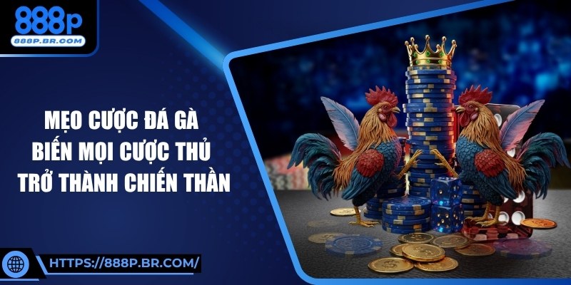 Mẹo Cược Đá Gà Biến Mọi Cược Thủ Trở Thành Chiến Thần